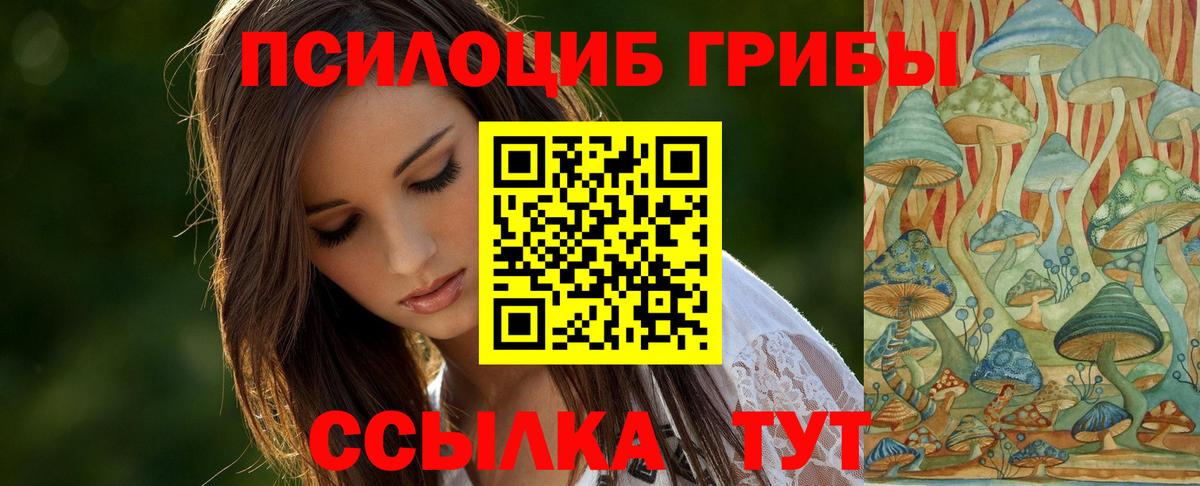 Псилоцибиновые грибы Cubensis Железноводск