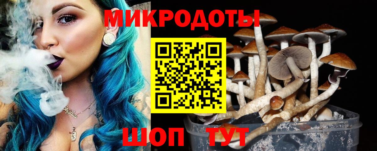 Железноводск  Галлюциногенные грибы ЛСД  Вход с VPN 